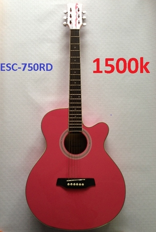 Đàn guitar Acoustic ESC-750RD